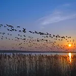 Abendstille, Fuer Maximal 4 Erwachsene Und 2 In De Feerjenhusen Am Haubarg Von Vollerwiek