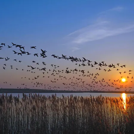 Abendstille: Familienfreundliche In De Feerjenhusen Vollerwiek
